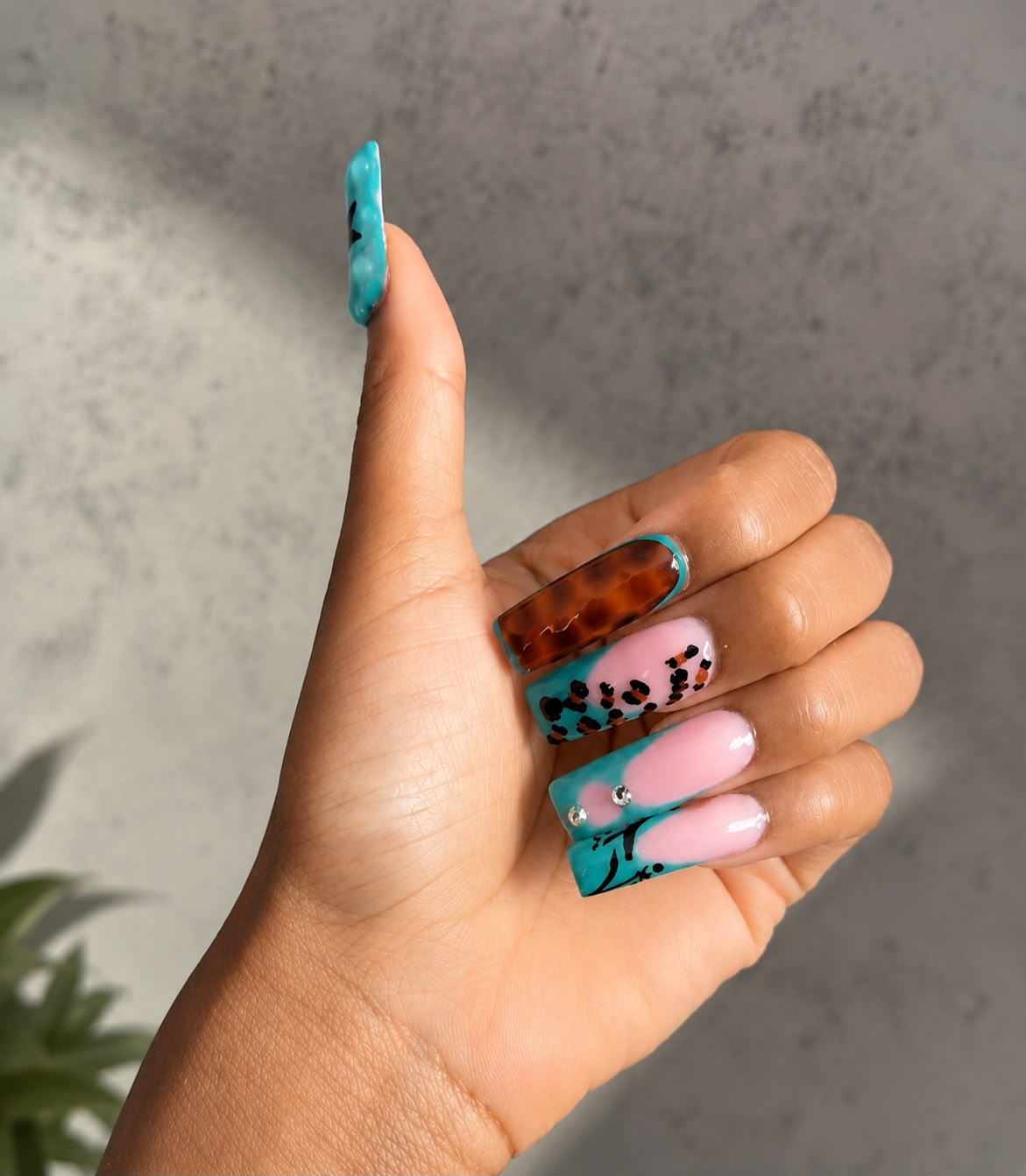 Turquoise Tortoise
